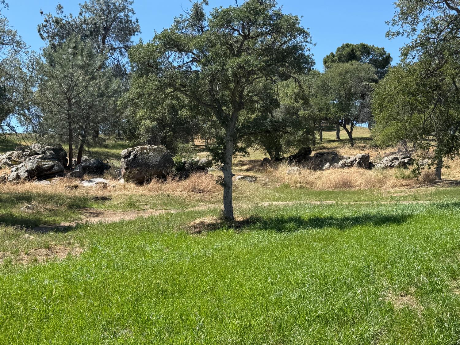 Vacant Lot in Coarsegold - photo 3