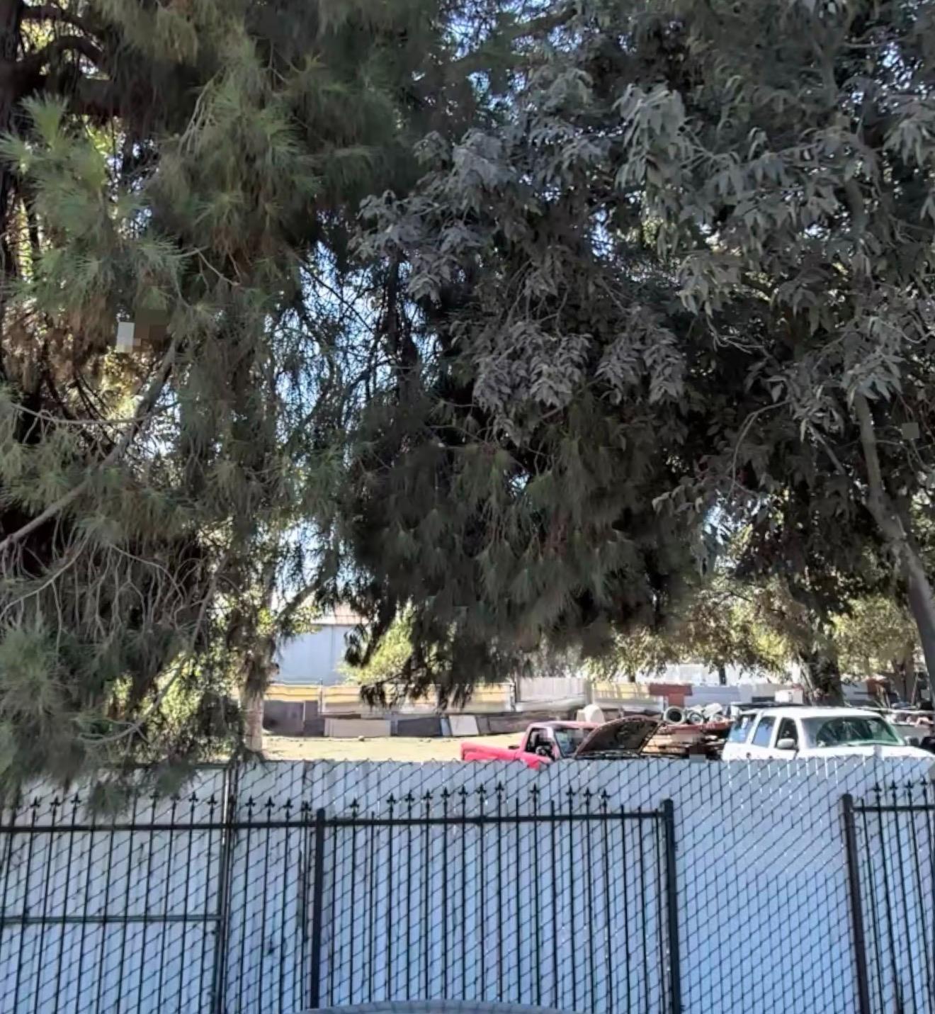 Vacant Lot in Fresno - main photo