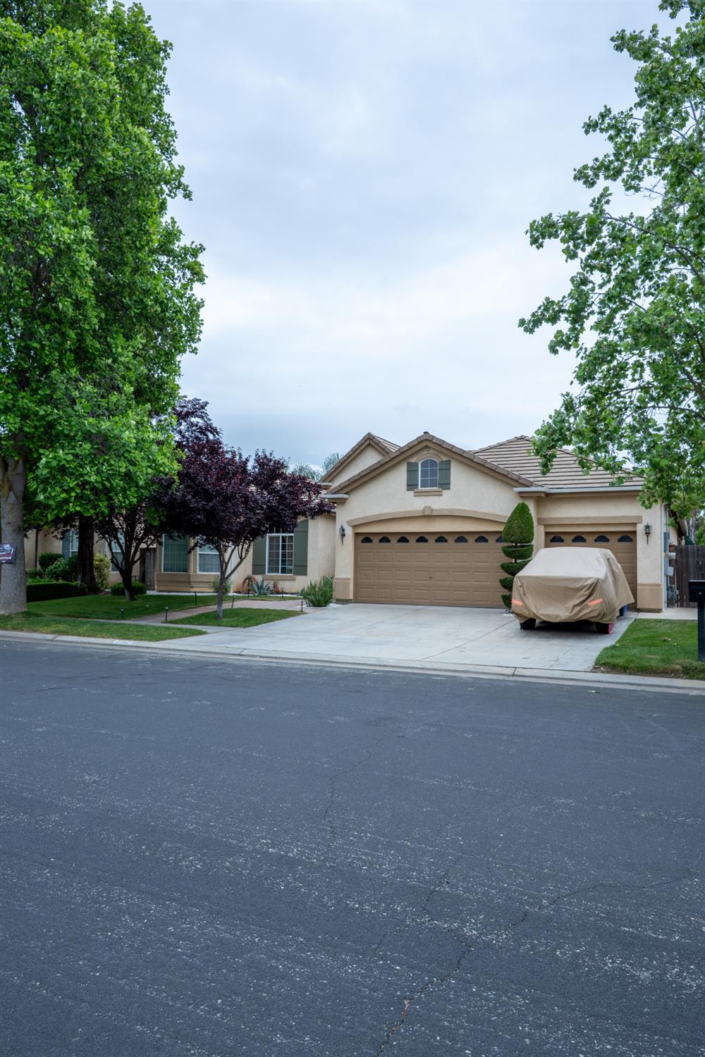 Single Family in Clovis - photo 2