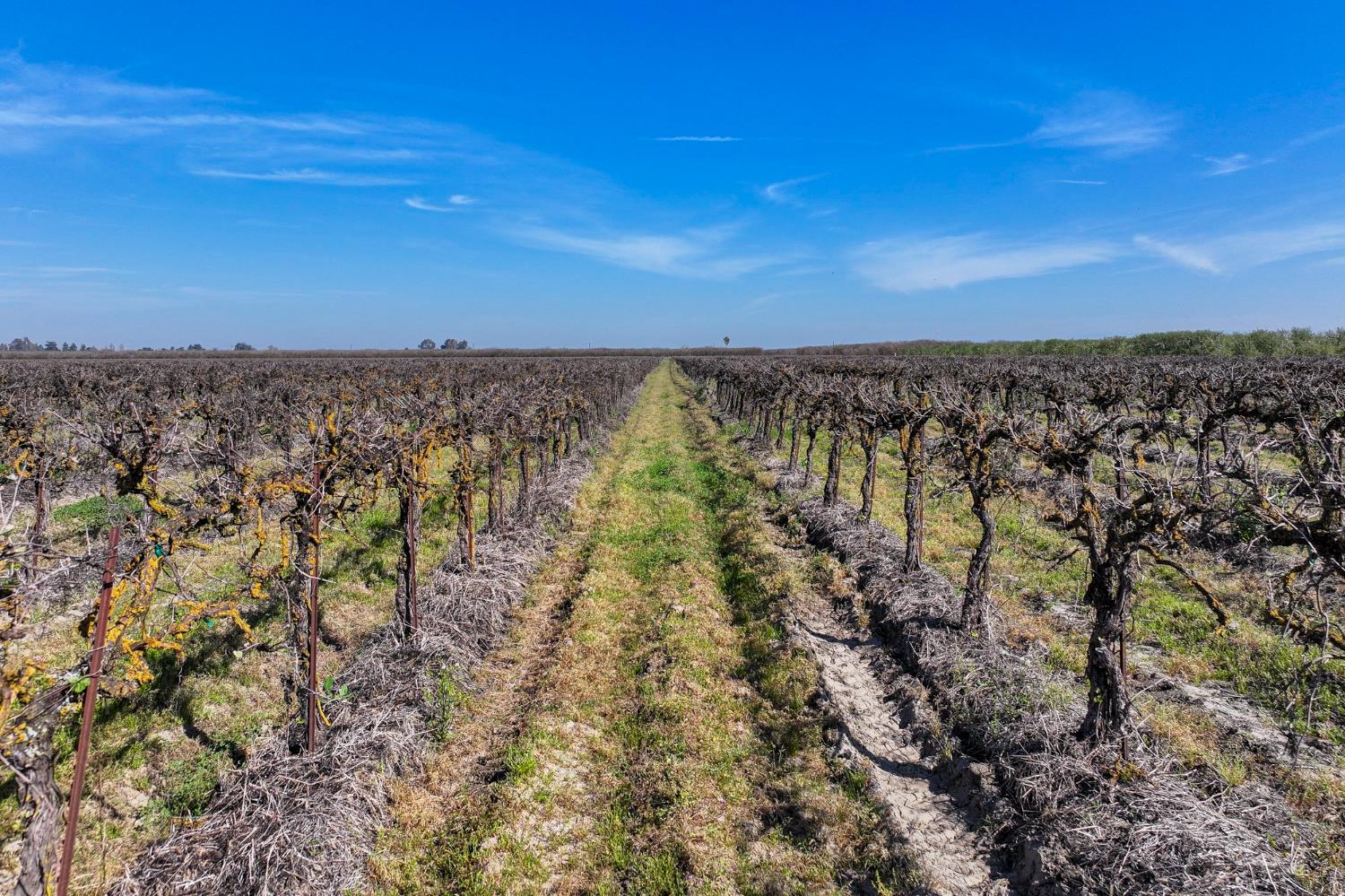0 S Vista Avenue, Chowchilla, CA, 93610