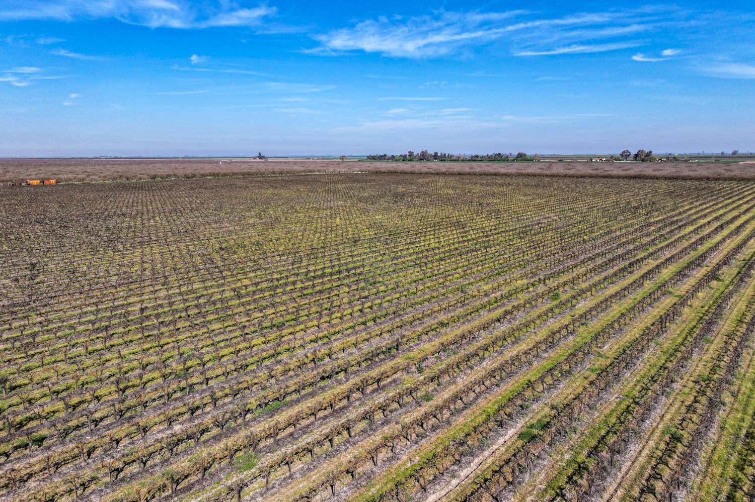 0 S Vista Avenue, Chowchilla, CA, 93610