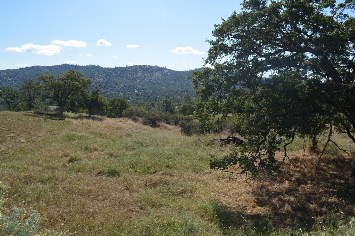 Vacant Lot in Coarsegold