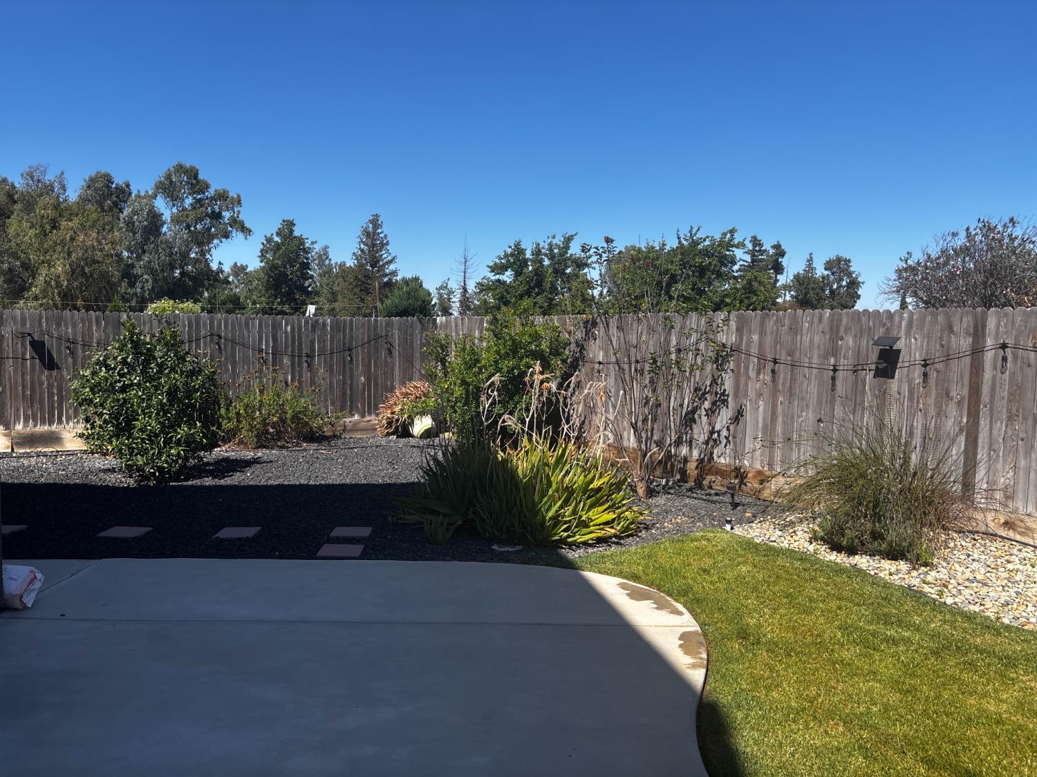 Photo 38