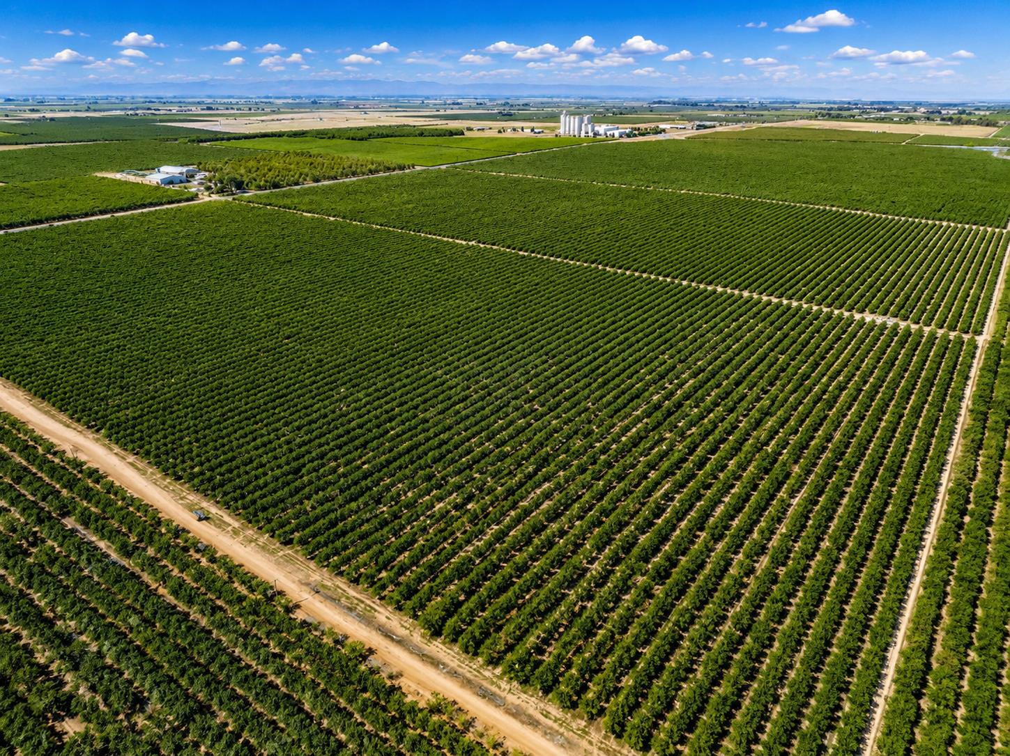 Farm in Madera - photo 3