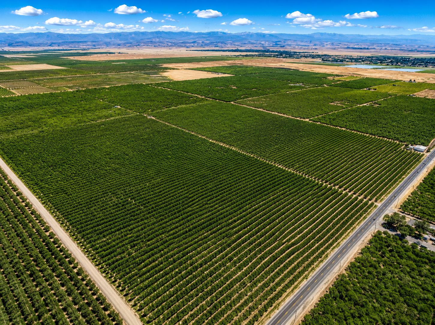 Farm in Madera - photo 2