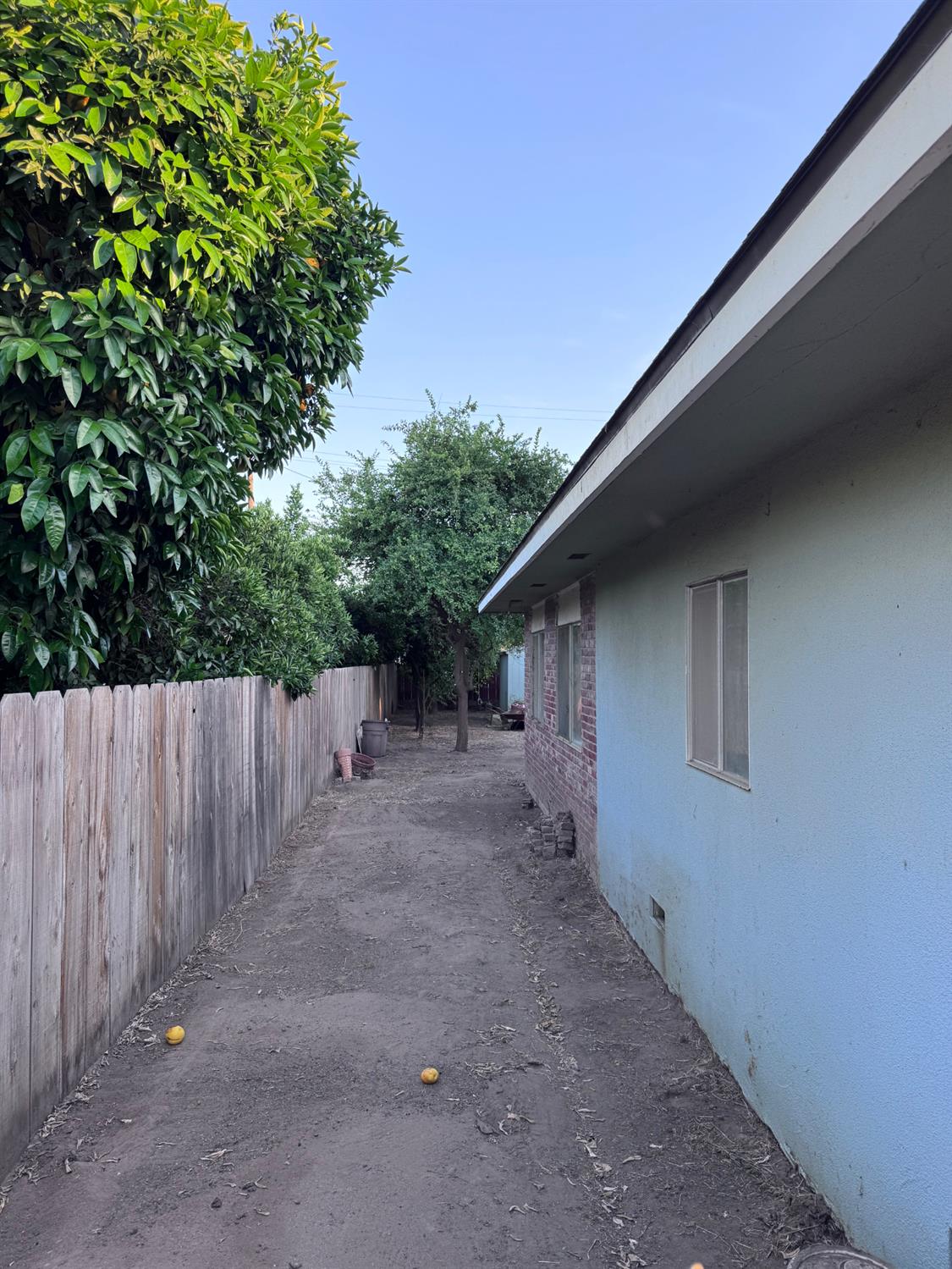 Photo 35