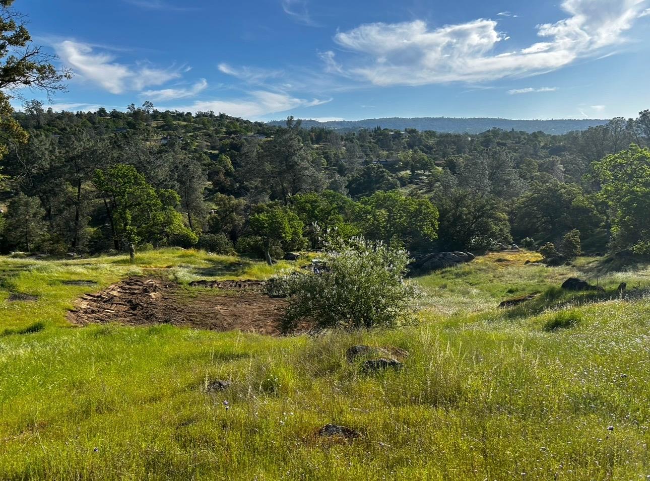 Vacant Lot in Coarsegold
