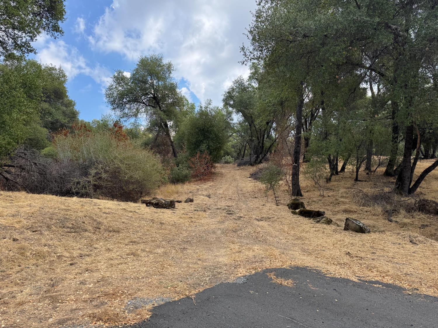 Vacant Lot in Coarsegold