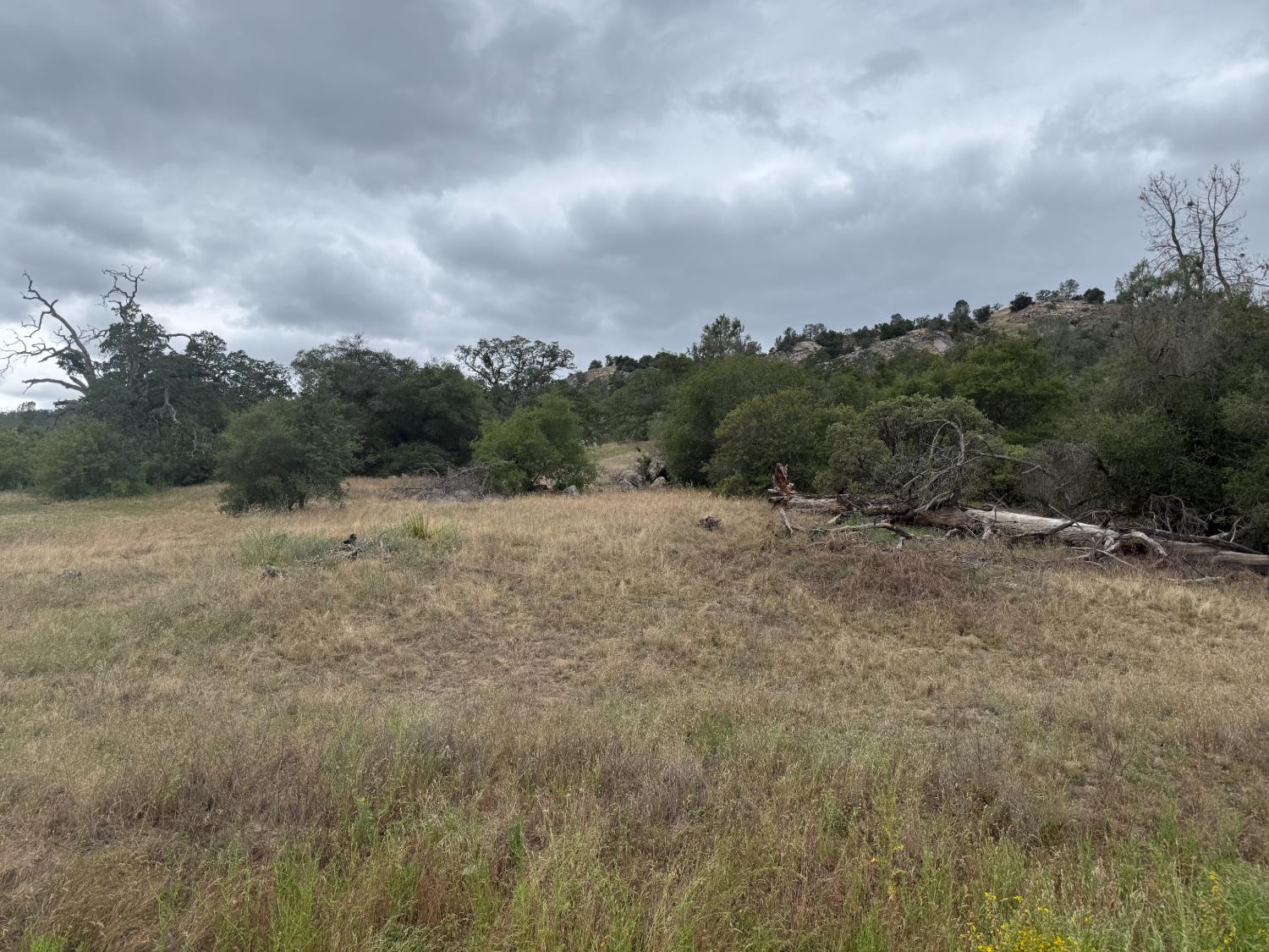 Vacant Lot in Coarsegold - main photo
