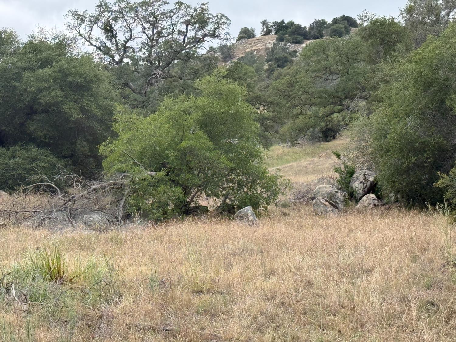 Vacant Lot in Coarsegold - photo 3