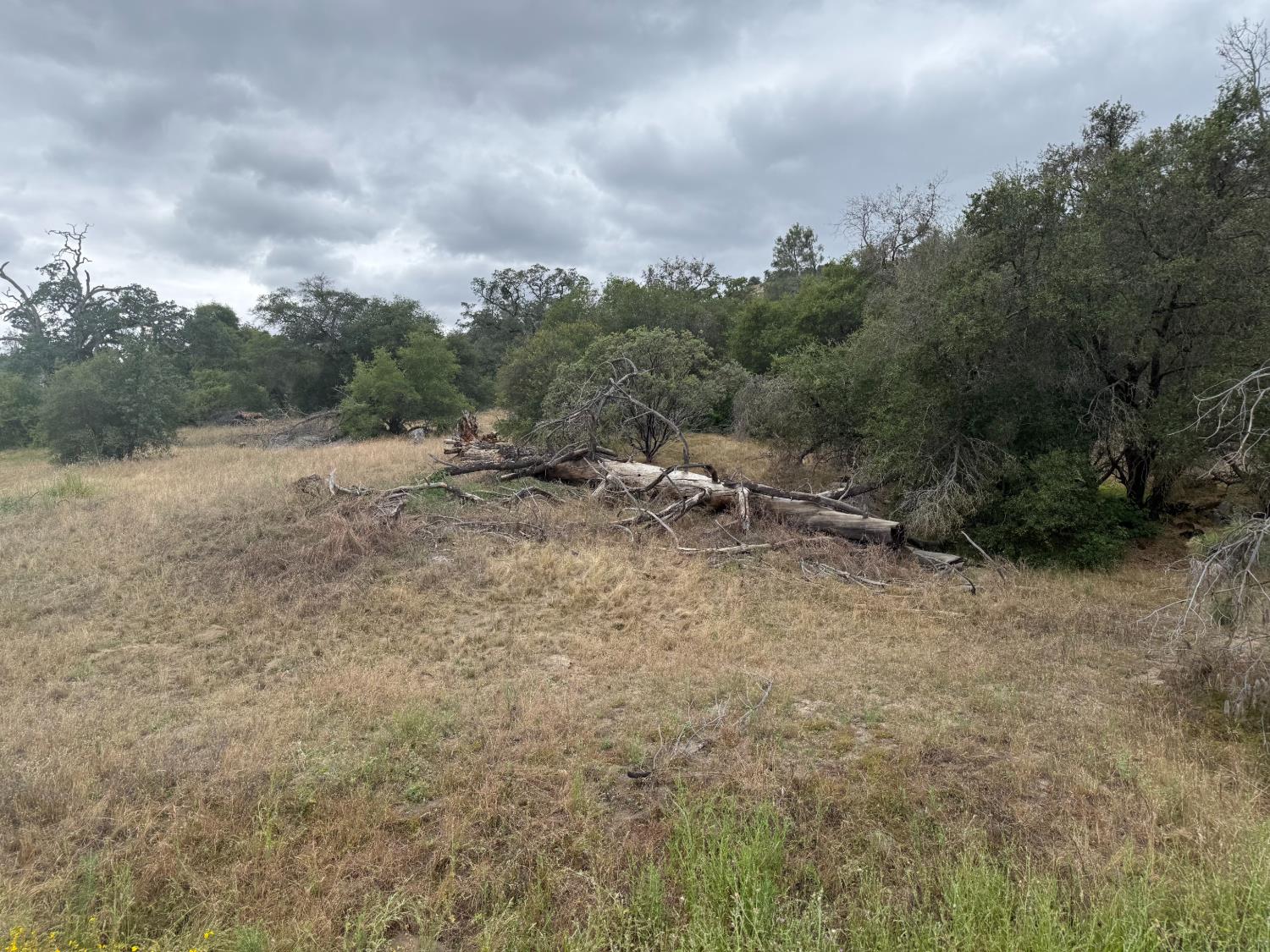 Vacant Lot in Coarsegold - photo 2