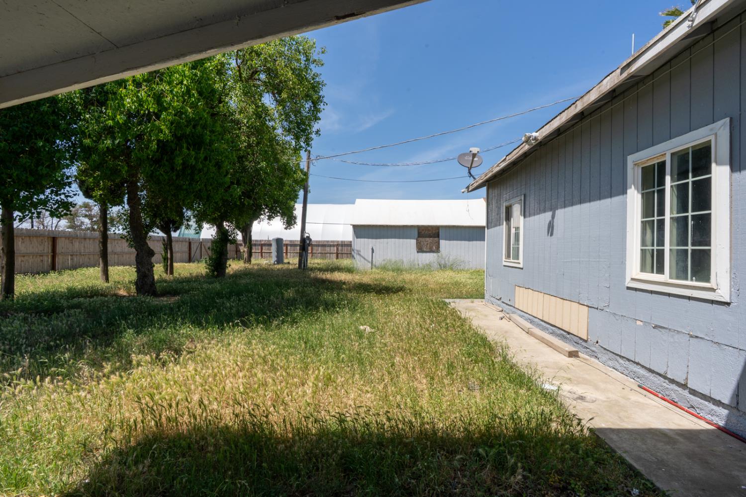 Photo 41