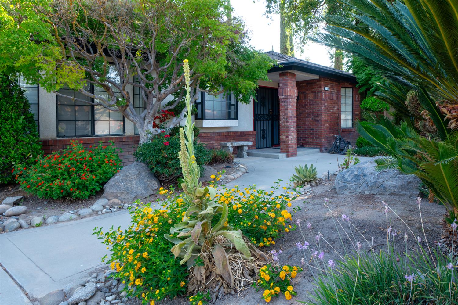 Single Family in Fresno - photo 3