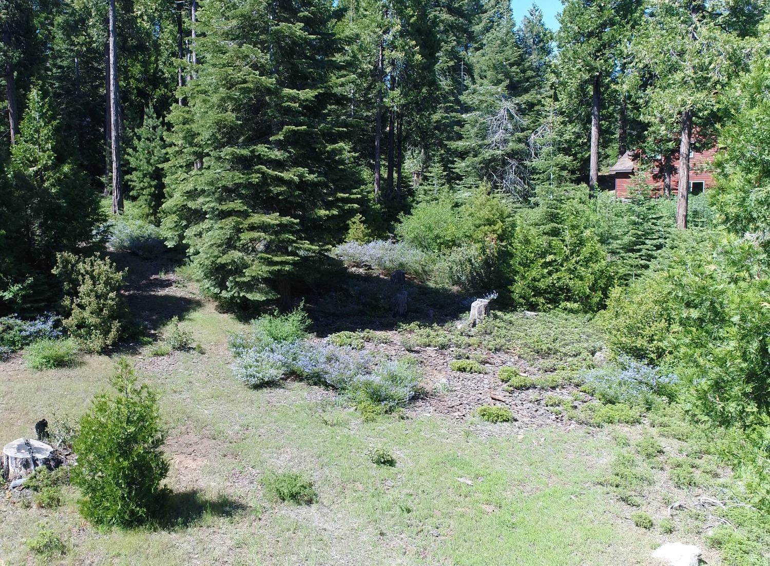 Vacant Lot in Shaver Lake - photo 3