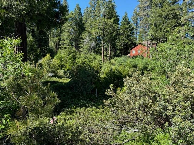 Vacant Lot in Shaver Lake - photo 2