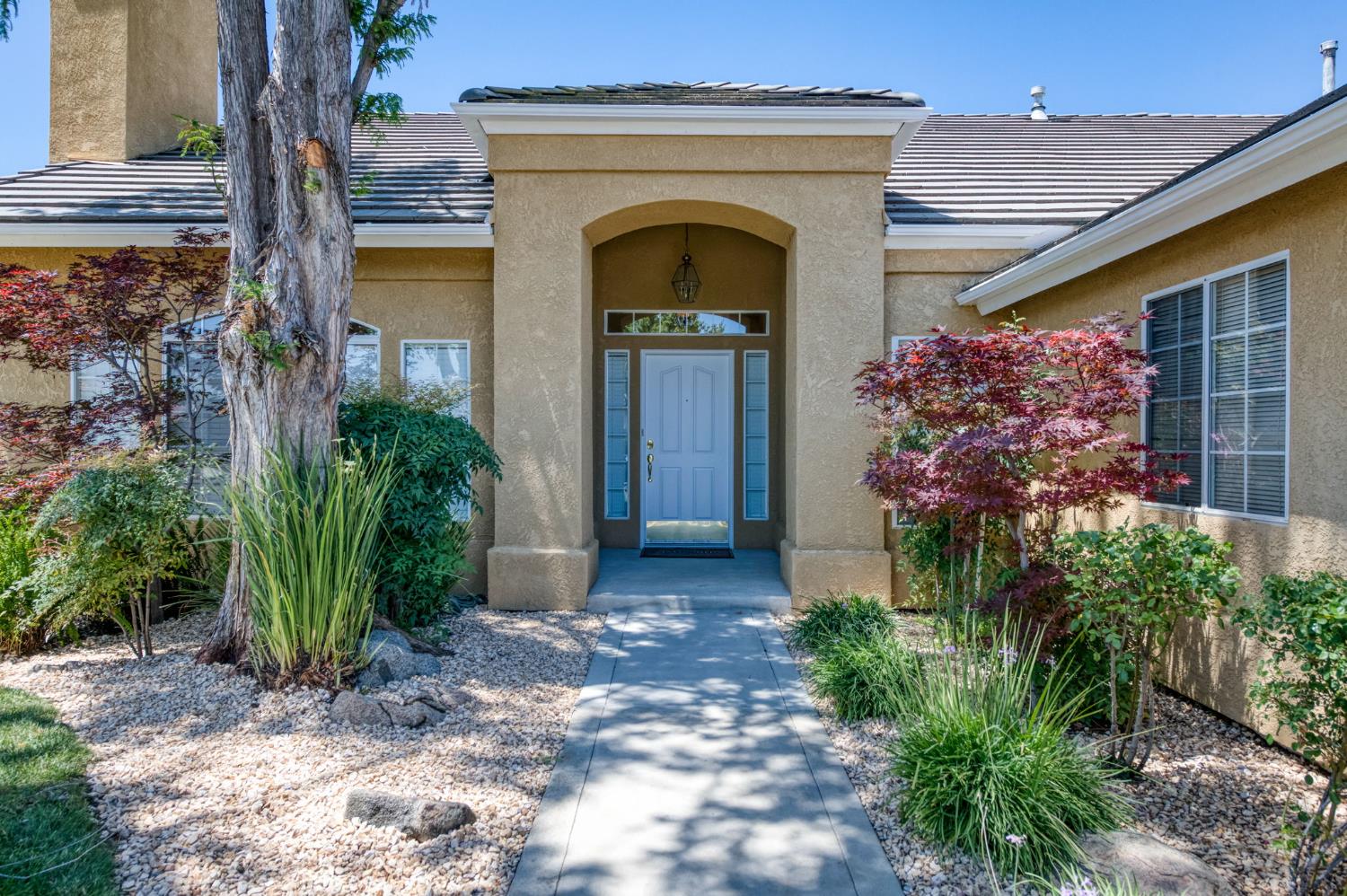 Single Family in Clovis - photo 3