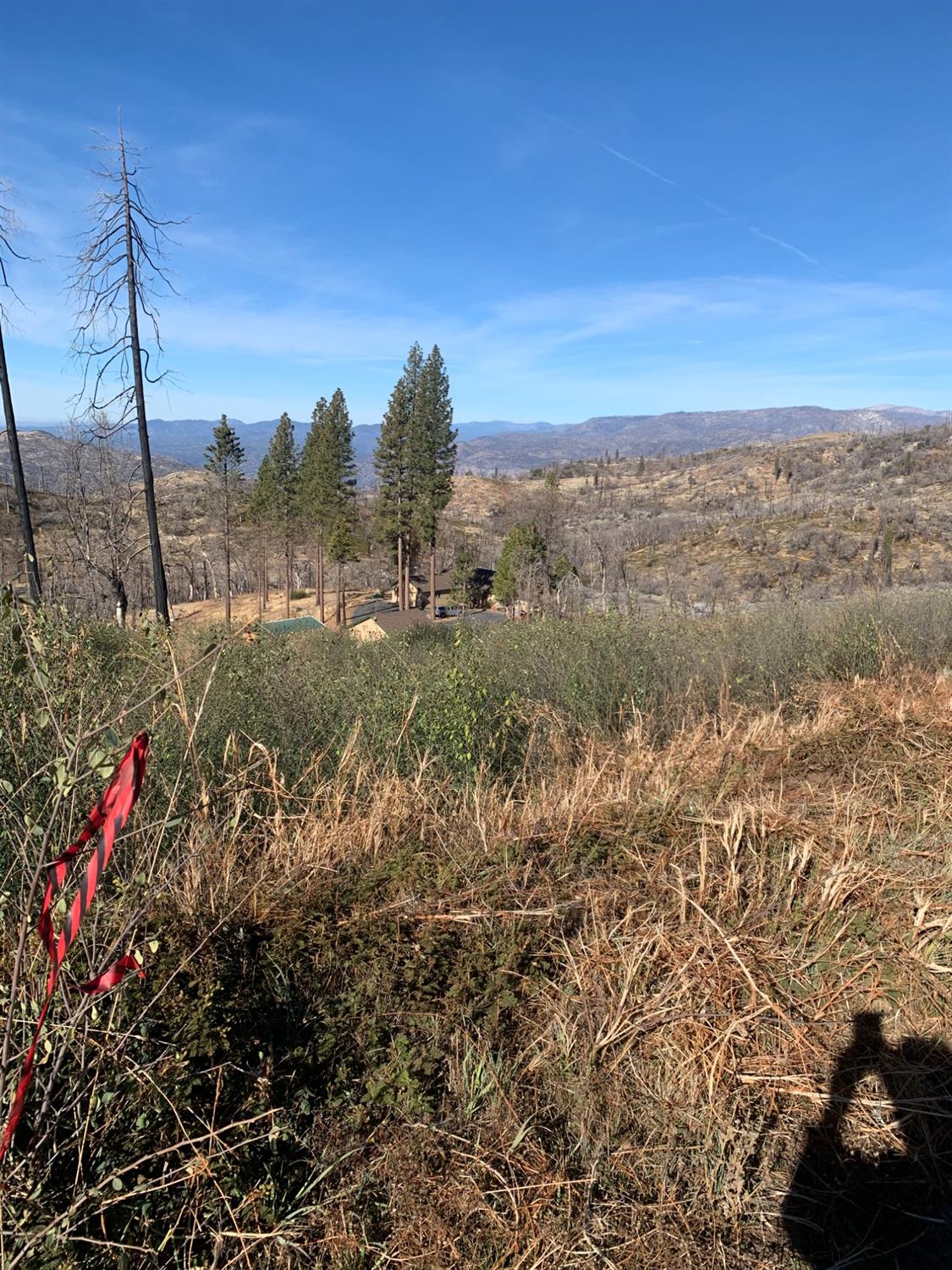 Vacant Lot in Shaver Lake - photo 2