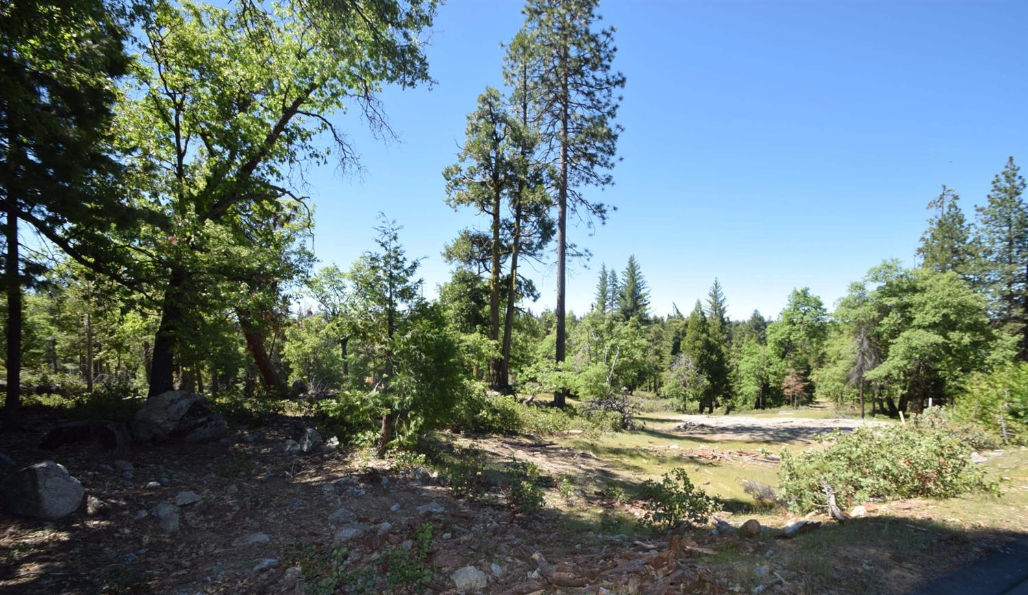 Vacant Lot in Shaver Lake - photo 2