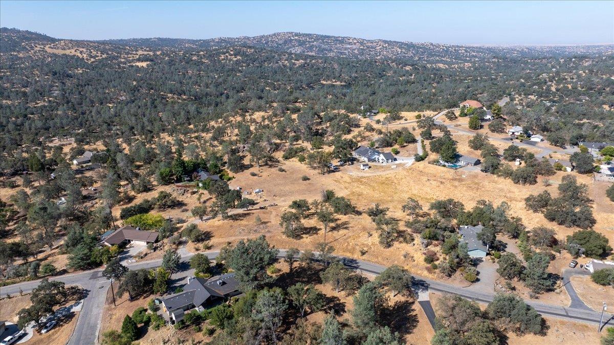 Vacant Lot in Coarsegold - photo 2