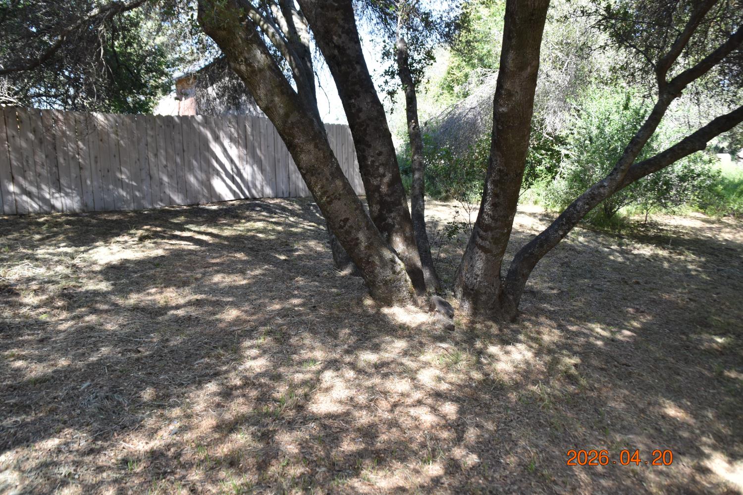 Photo 25
