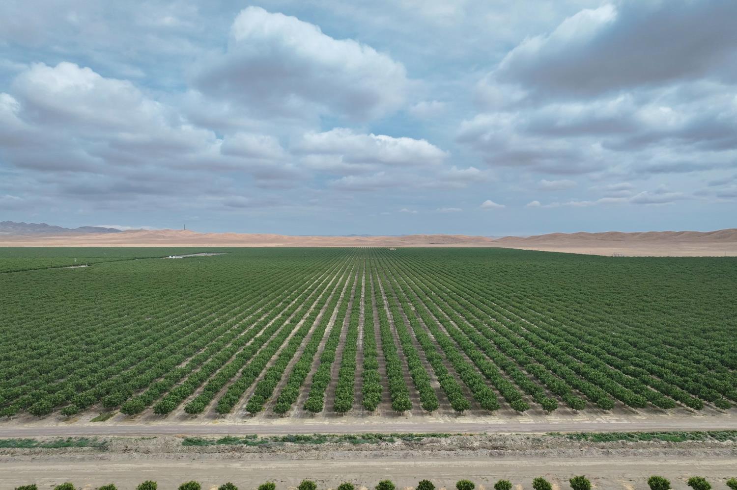 Farm in Avenal - photo 2