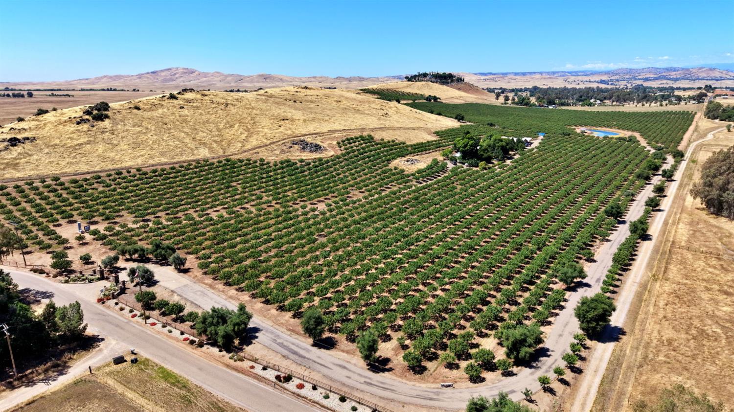 Farm in Clovis - photo 3