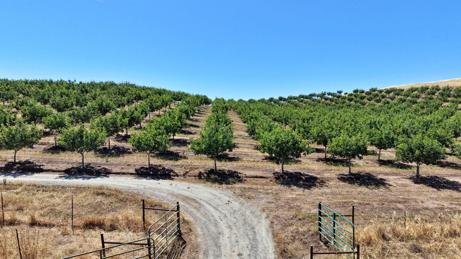 Farm in Clovis - photo 2