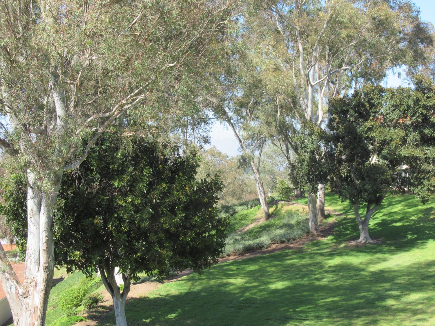 Condo in Laguna Woods