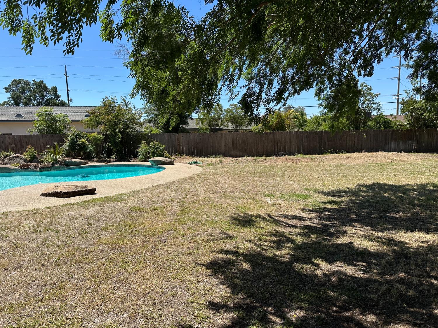 Photo 31