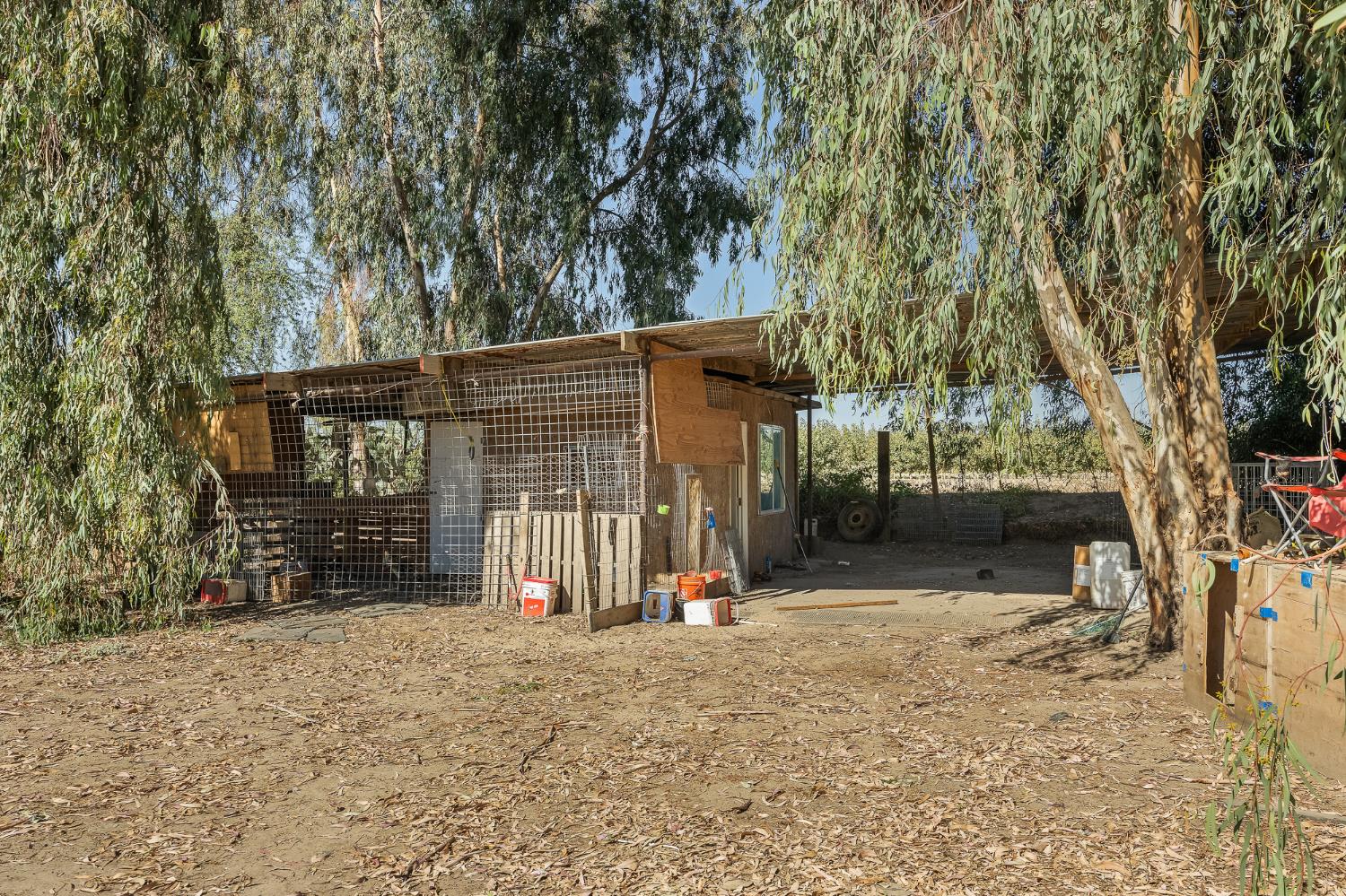 Photo 25