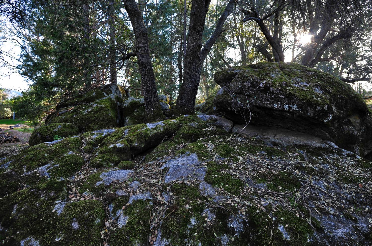 Photo 48