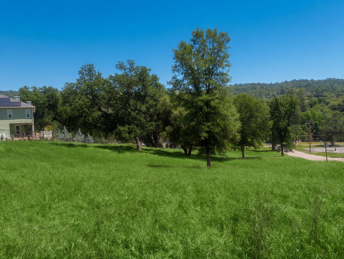 Vacant Lot in Oakhurst - photo 3