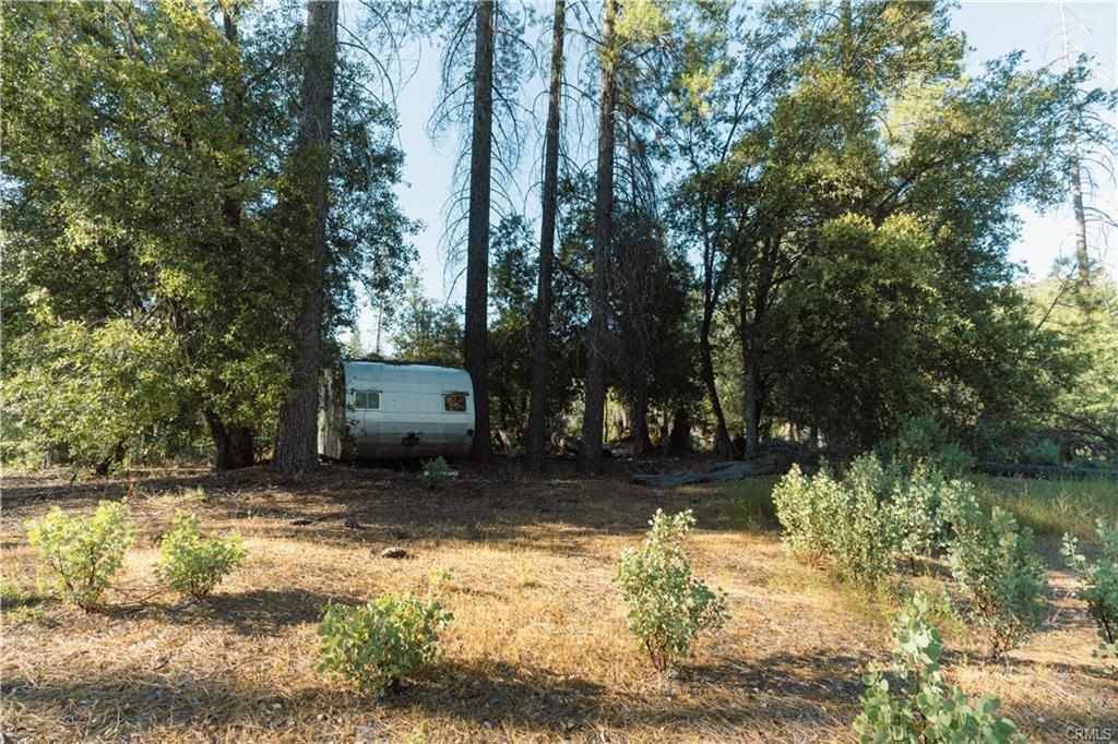 Vacant Lot in Coulterville - photo 3
