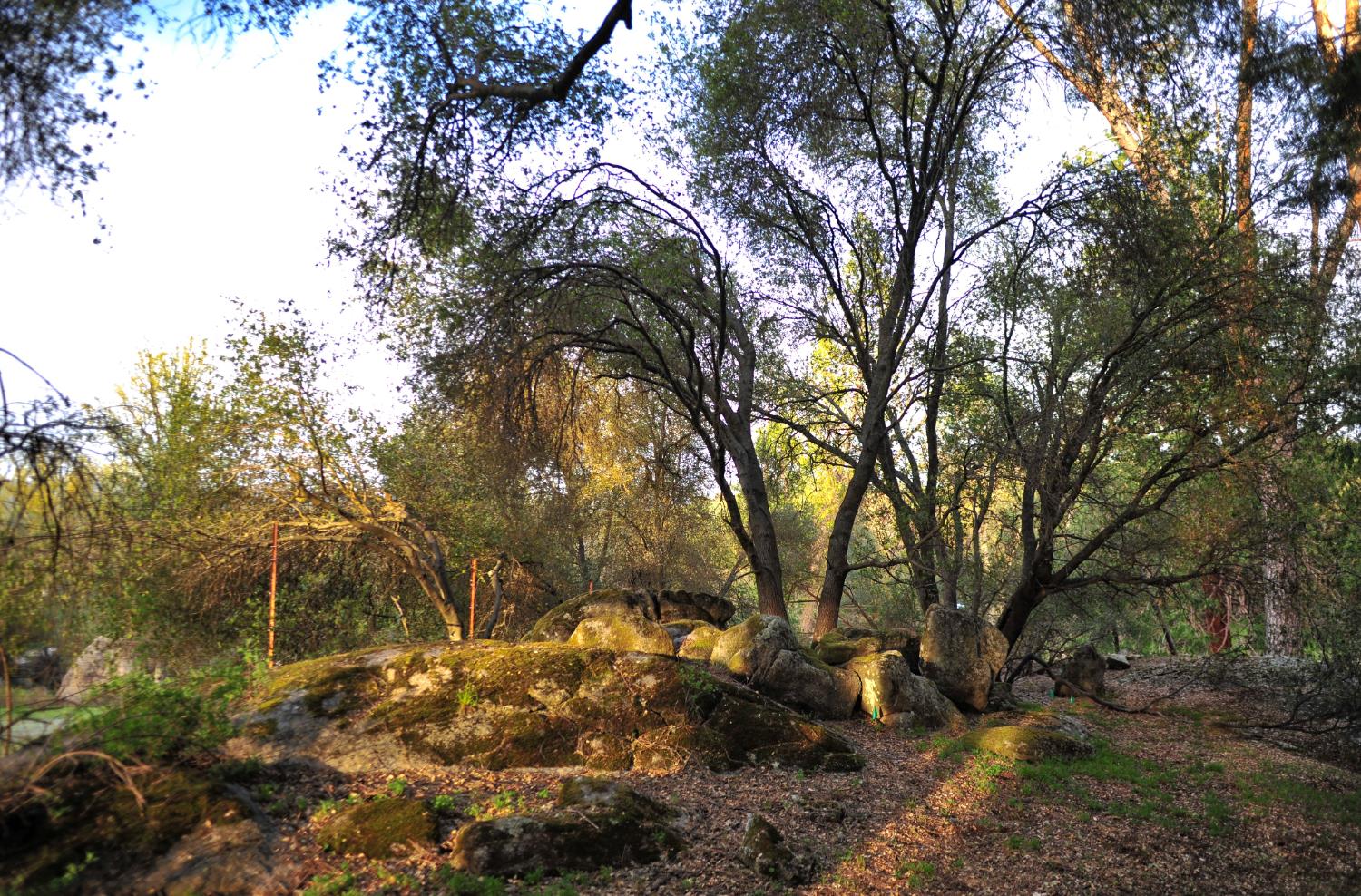 Photo 46