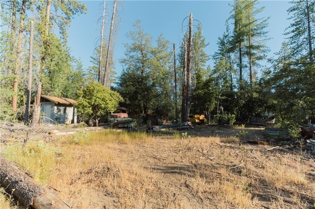 Vacant Lot in Coulterville - photo 2