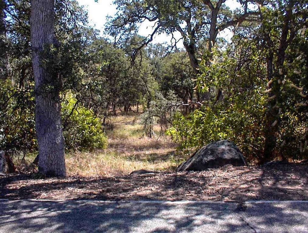 Vacant Lot in Yokuts Valley - photo 2