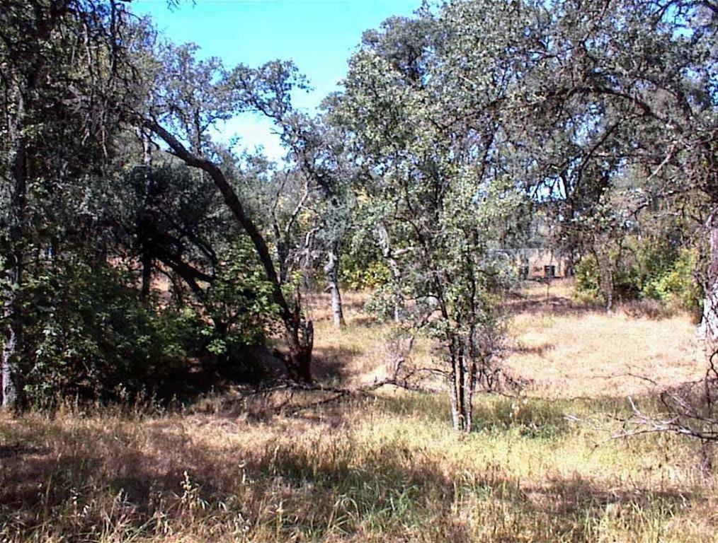 Vacant Lot in Yokuts Valley - photo 3