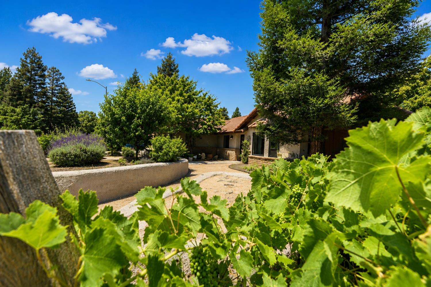 Single Family in Clovis - photo 3
