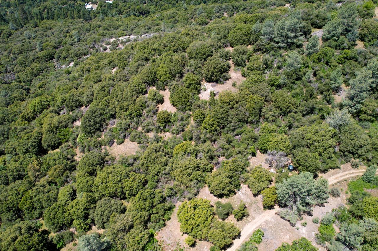 Vacant Lot in Oakhurst - photo 3