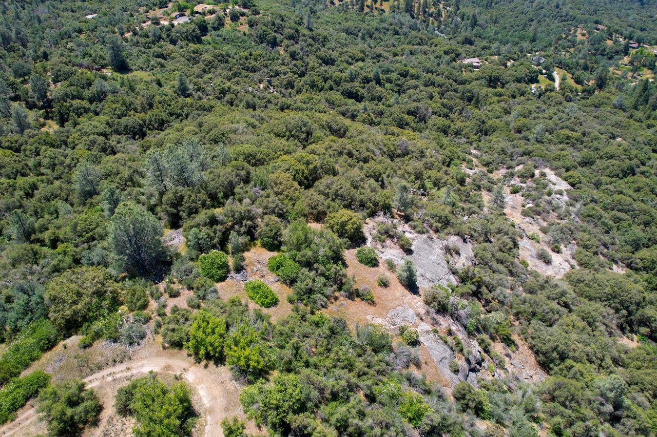 Vacant Lot in Oakhurst - photo 2