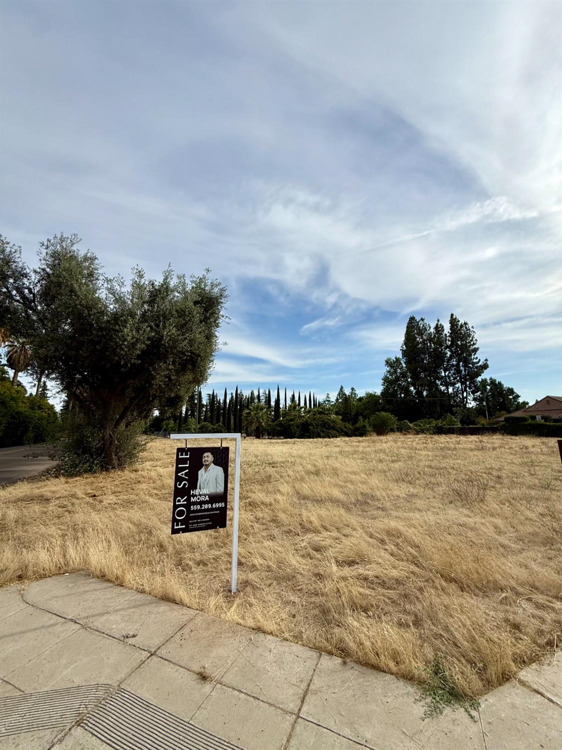 Vacant Lot in Fresno - photo 2