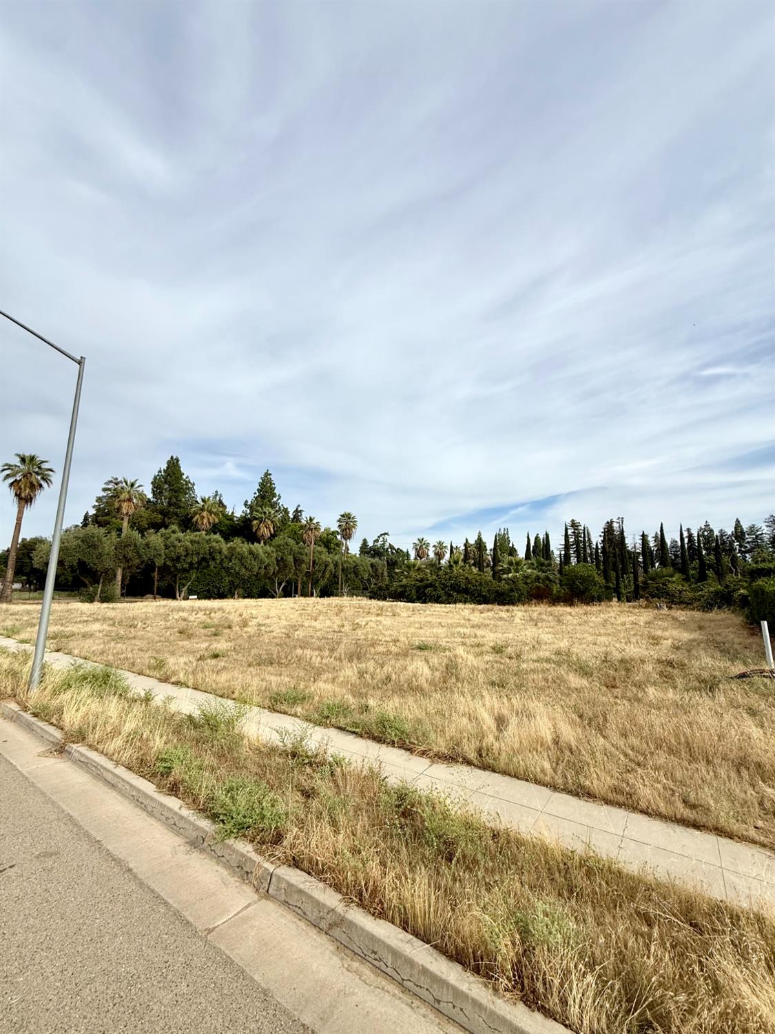 Vacant Lot in Fresno - photo 3