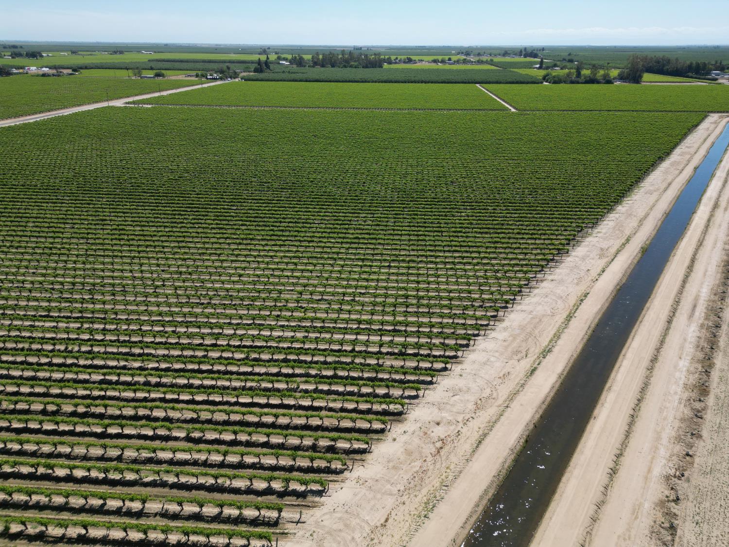 Farm in Fresno - photo 2