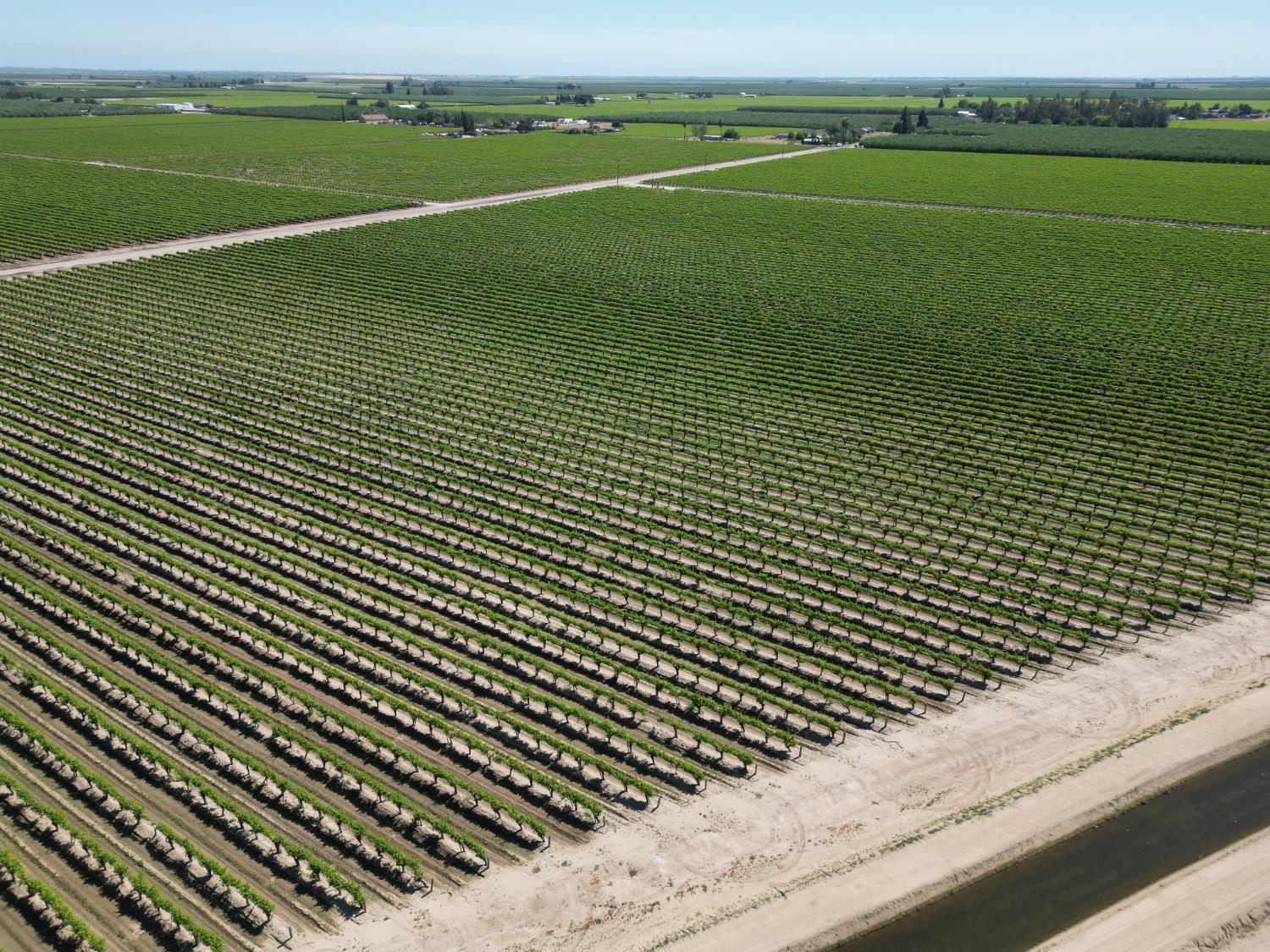 Farm in Fresno - photo 3