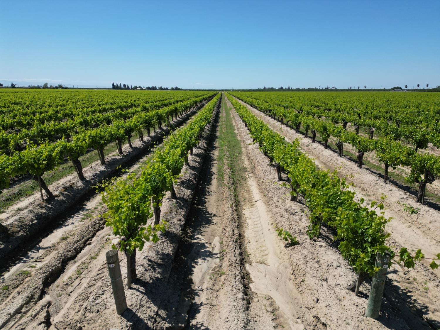 Farm in Fresno