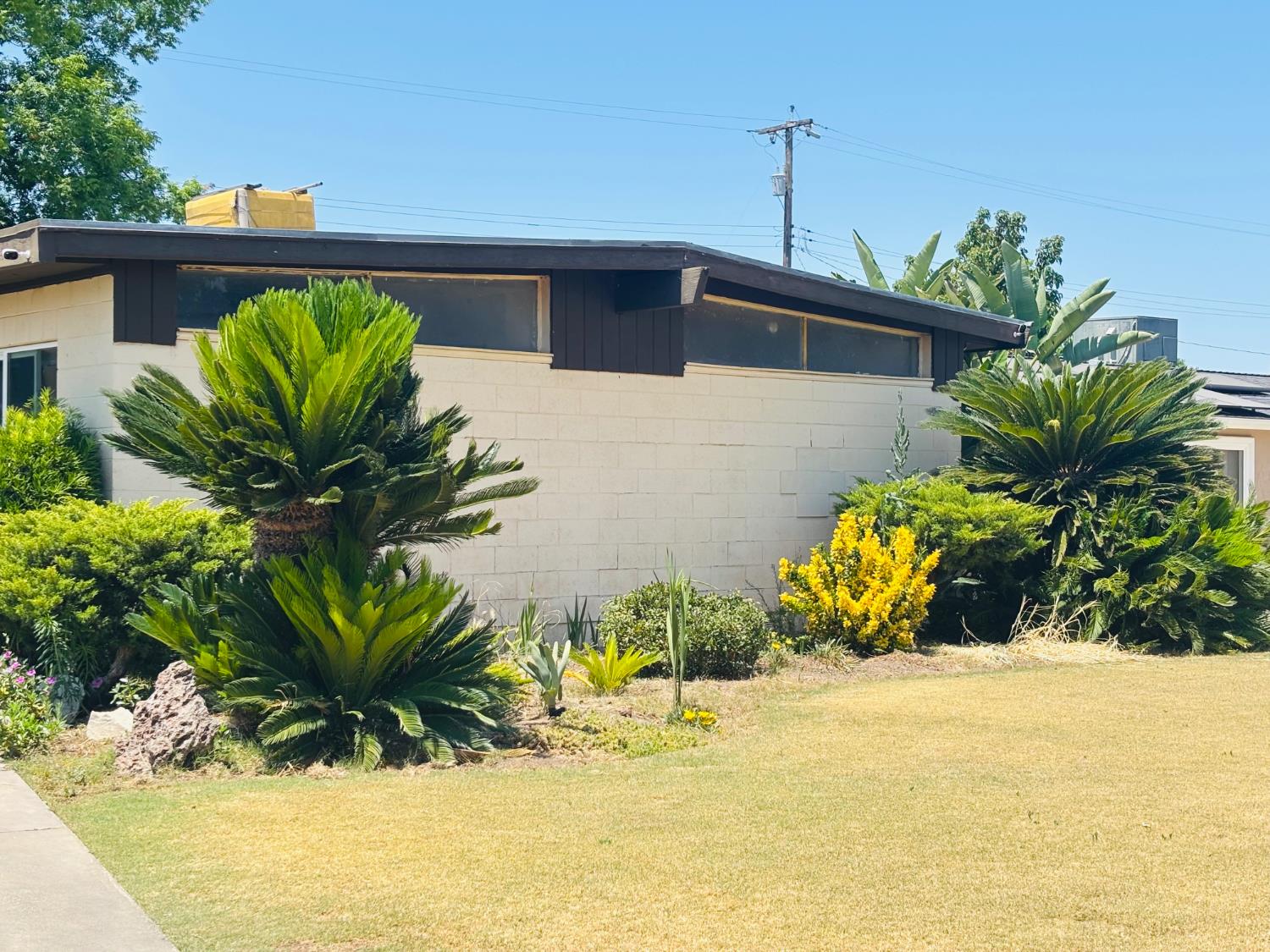 Single Family in Reedley - photo 2
