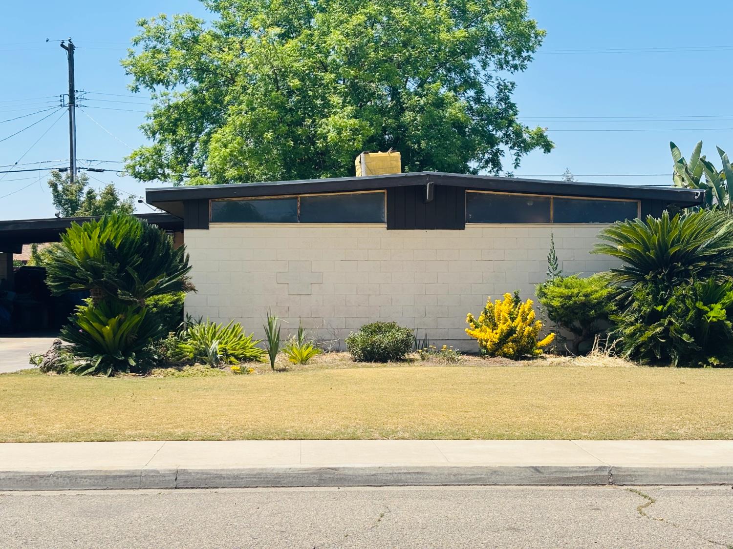 Single Family in Reedley - main photo