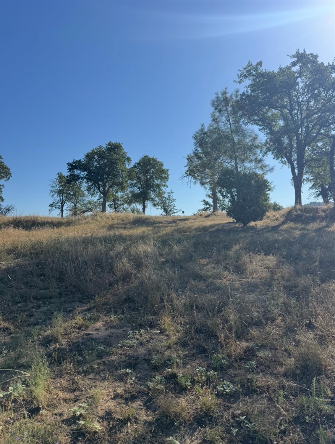 Vacant Lot in Coarsegold - main photo