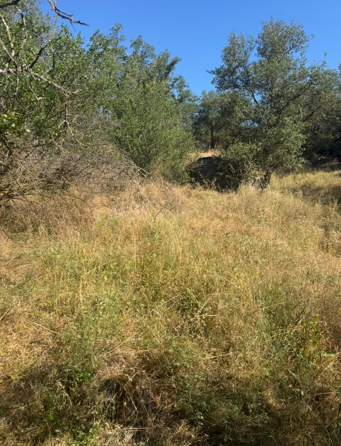 Vacant Lot in Coarsegold - main photo