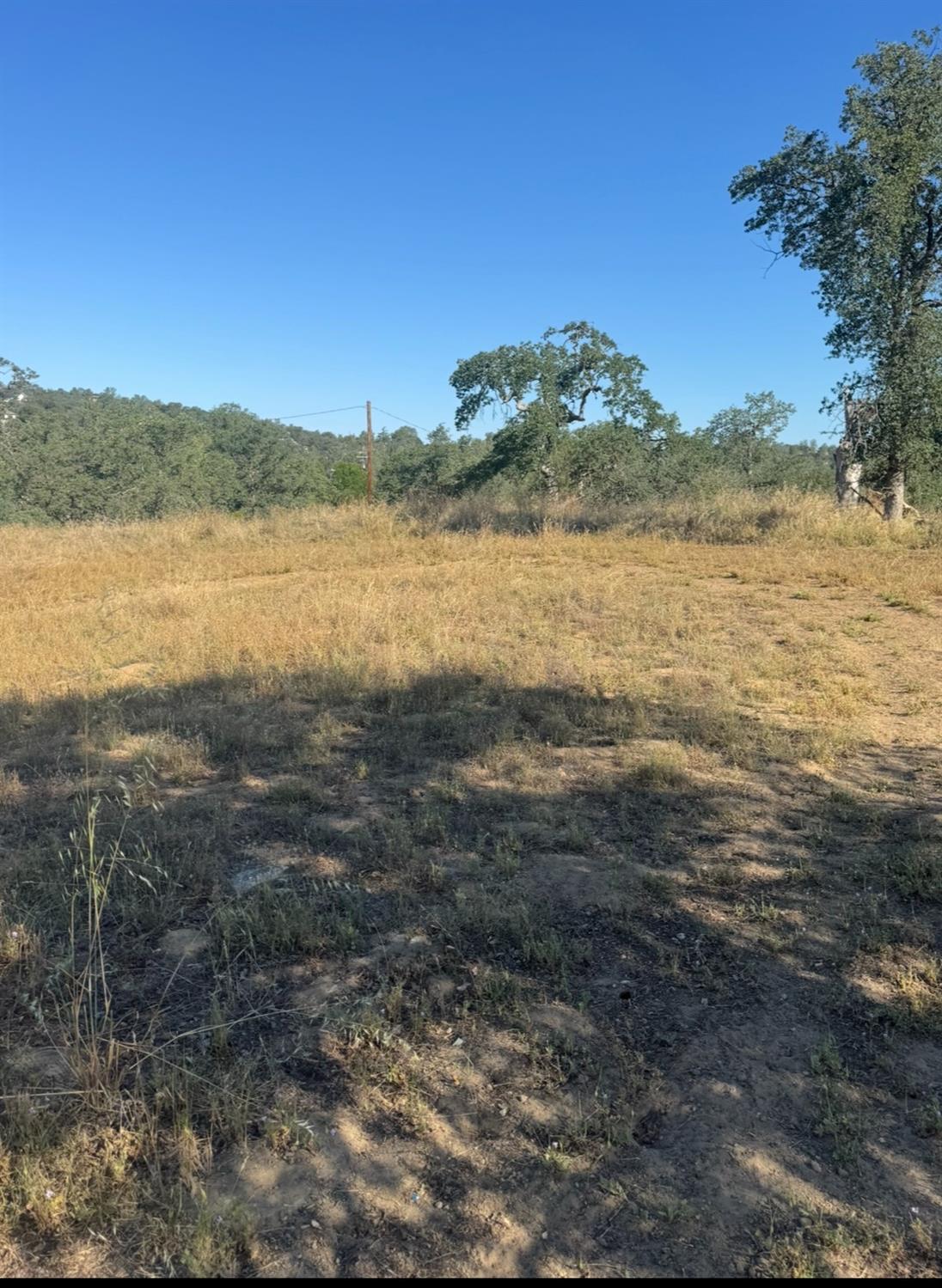 Vacant Lot in Coarsegold - photo 3